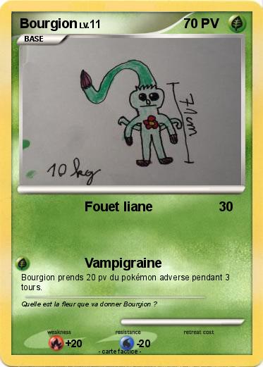 Pokemon Bourgion