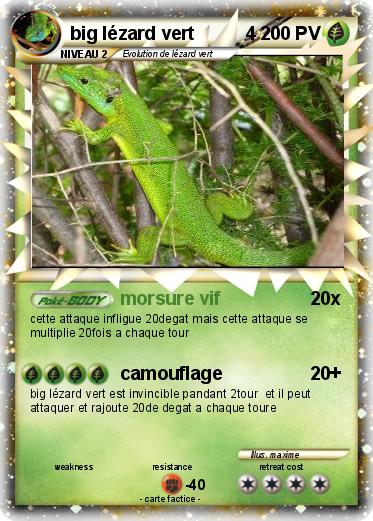 Pokemon big lézard vert          4