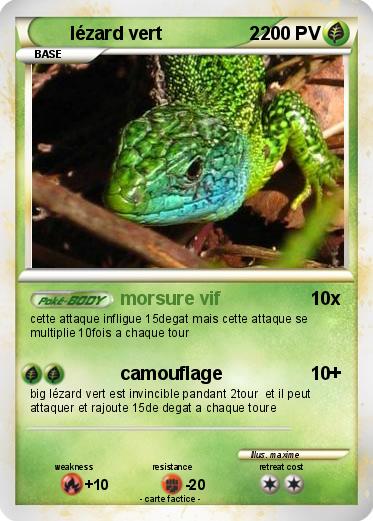 Pokemon lézard vert                 2