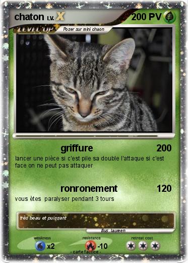 Pokemon chaton