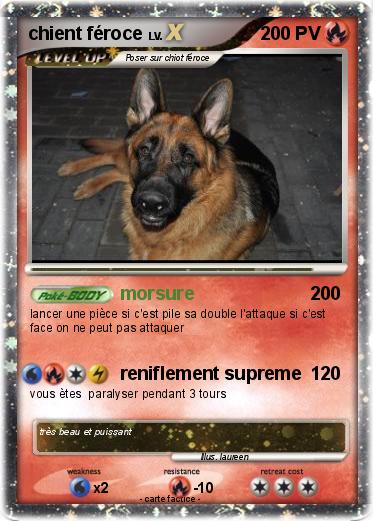 Pokemon chient féroce