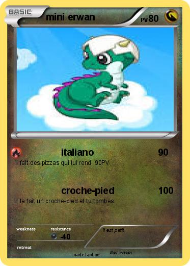Pokemon mini erwan