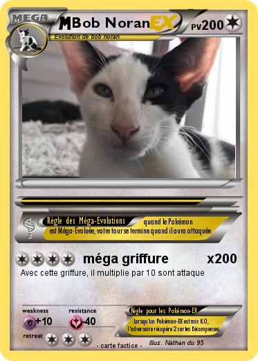 Pokemon Bob Noran