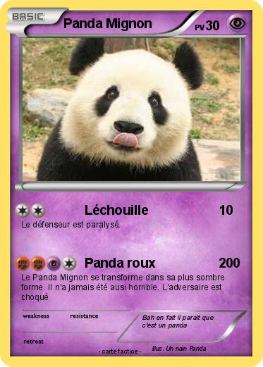 Pokemon Panda Mignon
