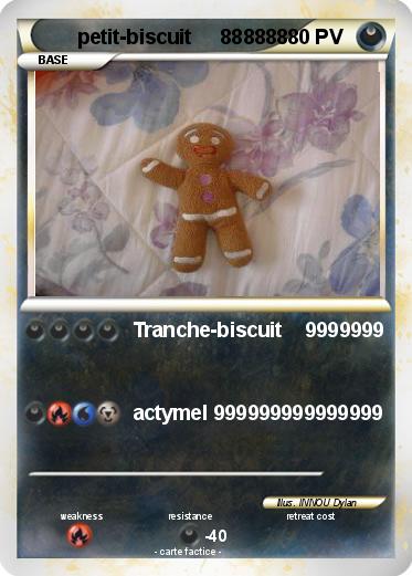 Pokemon petit-biscuit     888888