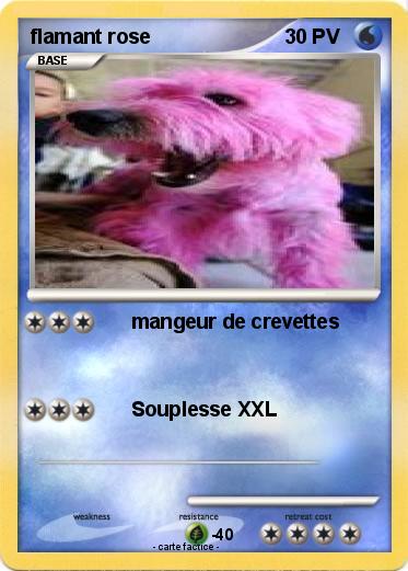 Pokemon flamant rose