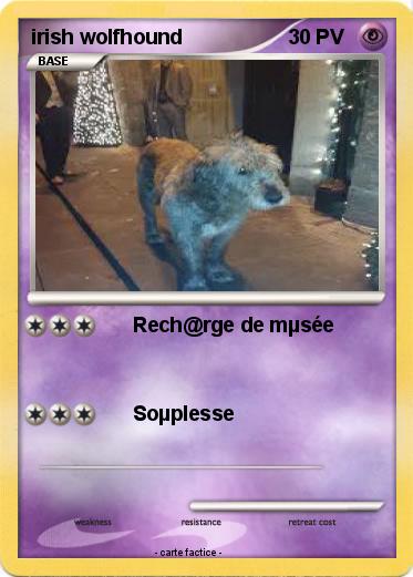 Pokemon irish wolfhound