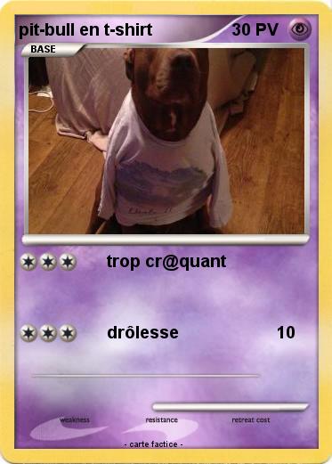 Pokemon pit-bull en t-shirt