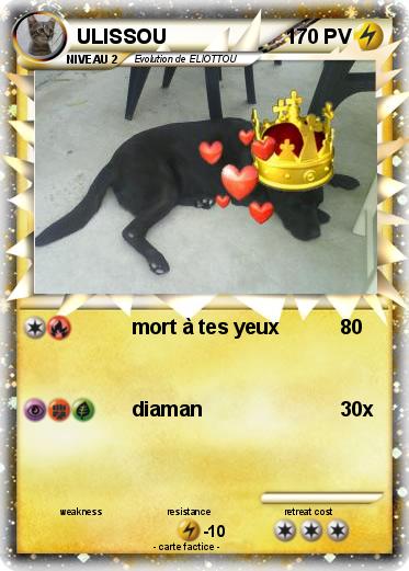 Pokemon ULISSOU