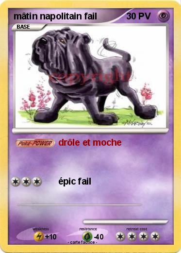 Pokemon mâtin napolitain fail