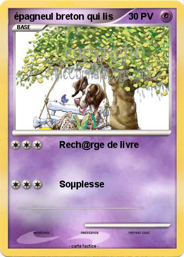 Pokemon épagneul breton qui lis