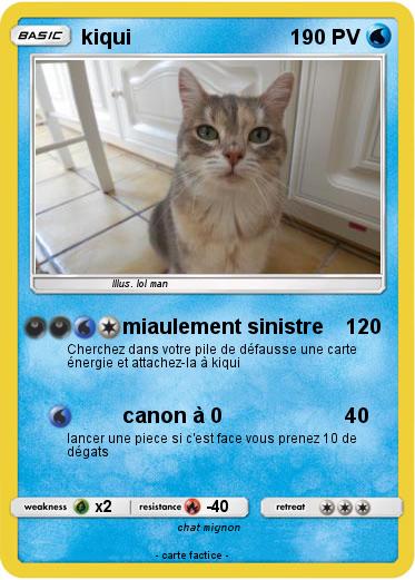 Pokemon kiqui
