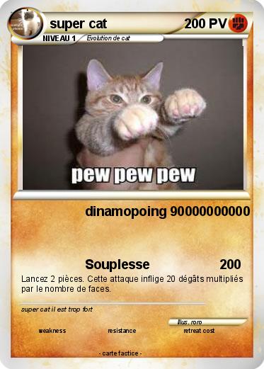Pokemon super cat