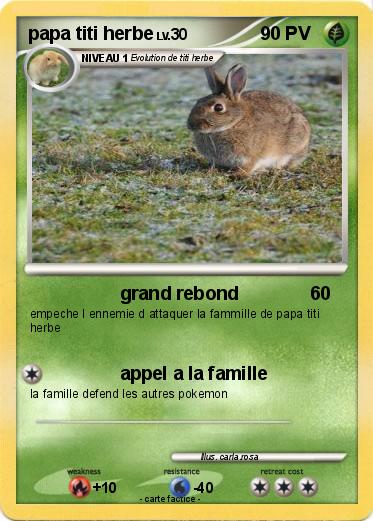 Pokemon papa titi herbe