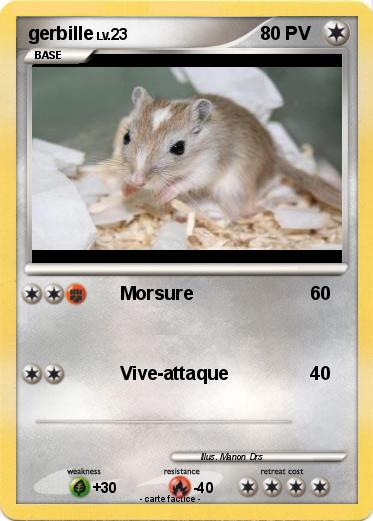 Pokemon gerbille