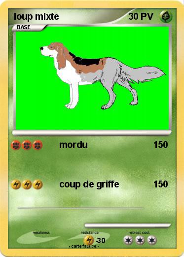 Pokemon loup mixte