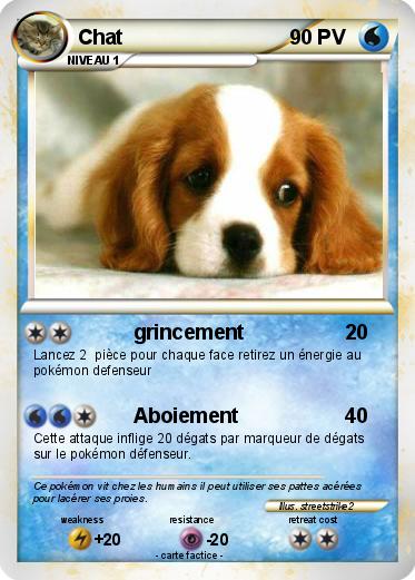 Pokemon Chat