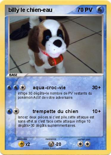 Pokemon billy le chien-eau