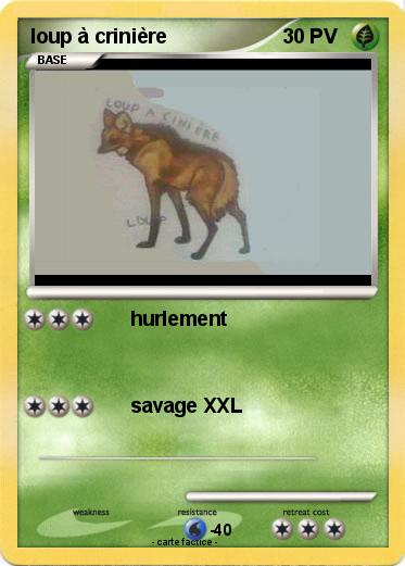 Pokemon loup à crinière