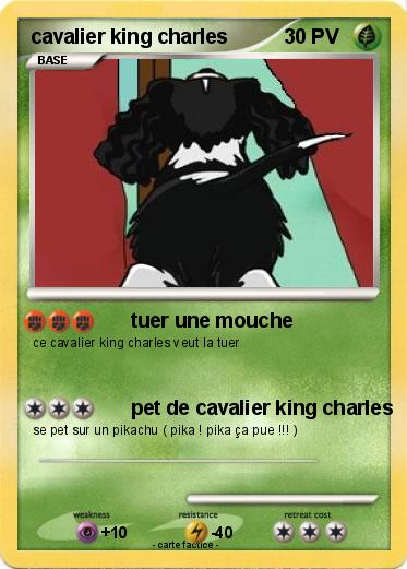 Pokemon cavalier king charles