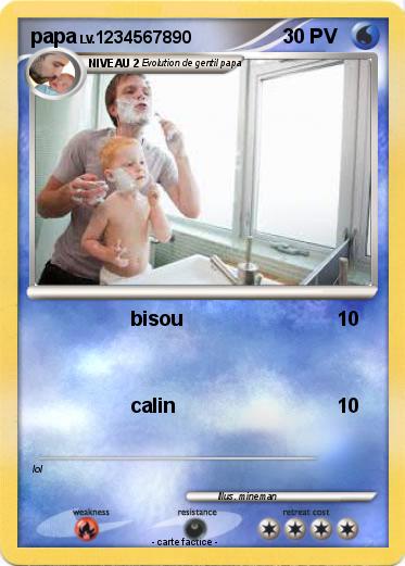 Pokemon papa