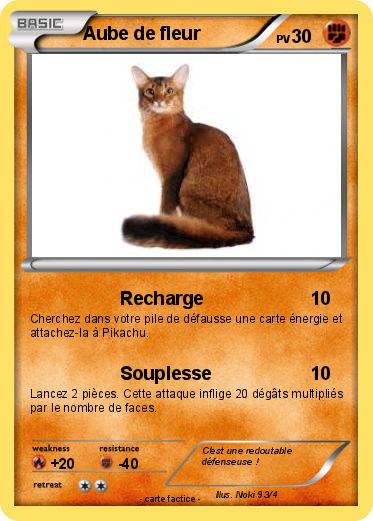 Pokemon Aube de fleur