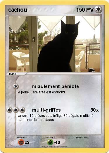 Pokemon cachou