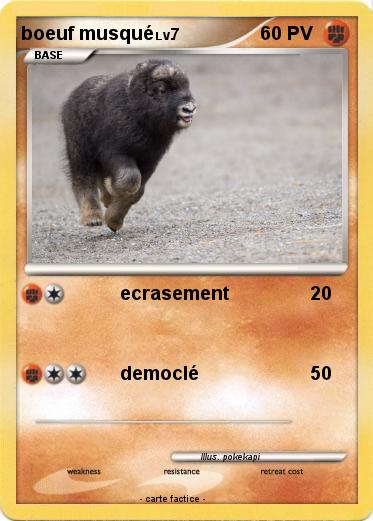 Pokemon boeuf musqué