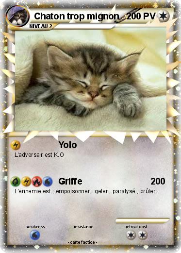 Pokemon Chaton trop mignon