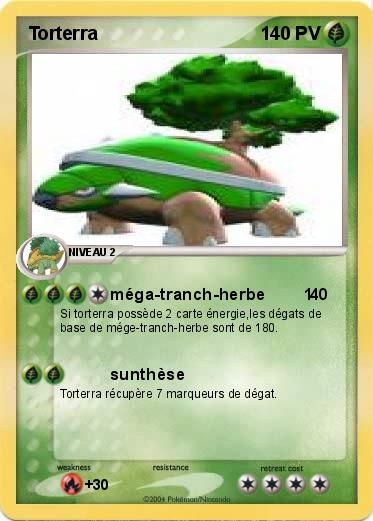 Pokemon Torterra