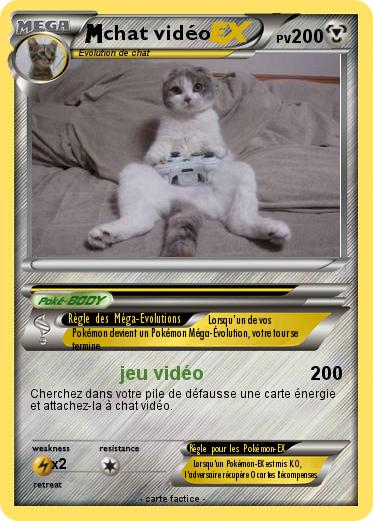 Pokemon chat vidéo