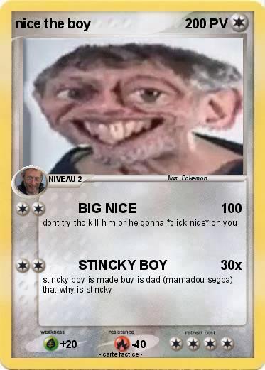 Pokemon nice the boy