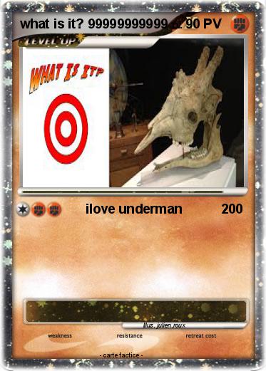 Pokemon what is it? 99999999999