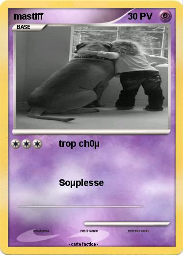 Pokemon mastiff