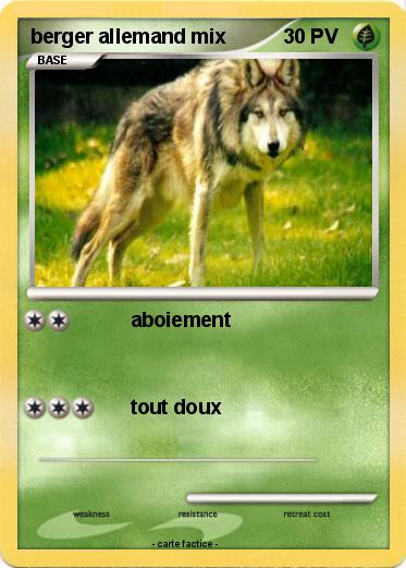 Pokemon berger allemand mix