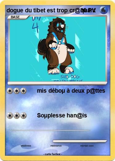 Pokemon dogue du tibet est trop cr@quant