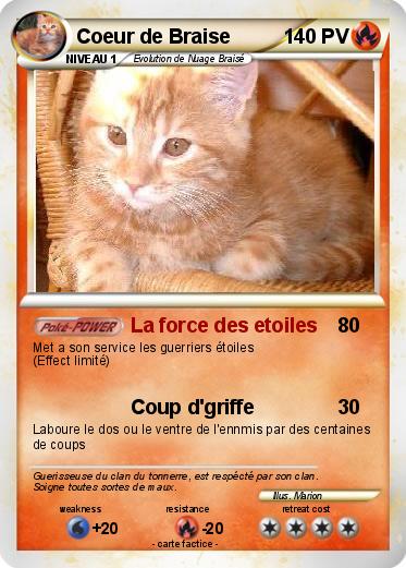 Pokemon Coeur de Braise