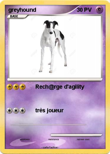 Pokemon greyhound