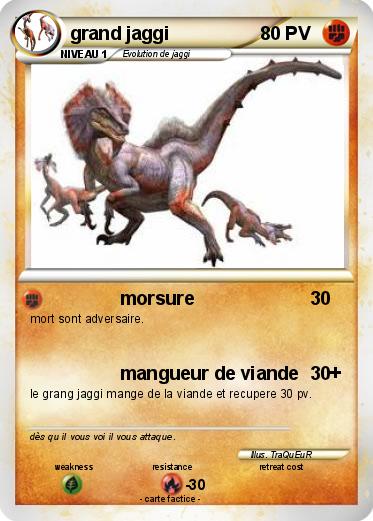 Pokemon grand jaggi
