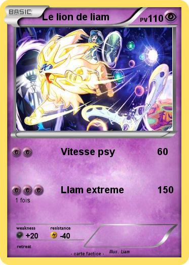 Pokemon Le lion de liam