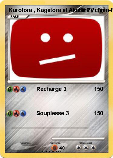 Pokemon Kurotora , Kagetora et Akatora ( chien-feu-plante-eau )