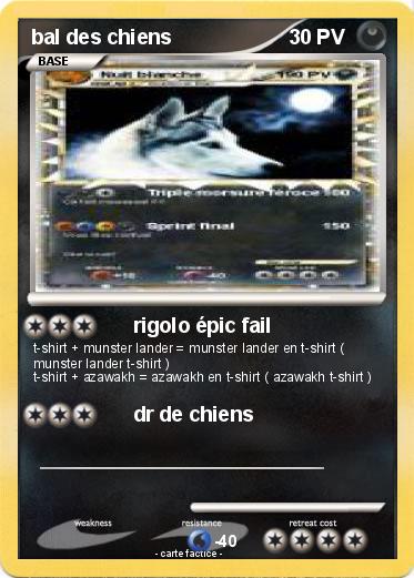 Pokemon bal des chiens