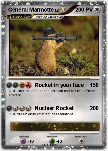 Pokemon Général Marmotte