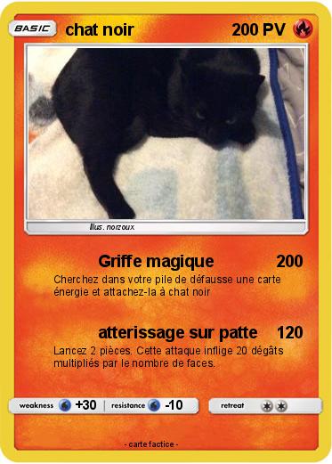 Pokemon chat noir