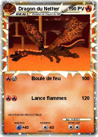 Pokemon Dragon du Nether