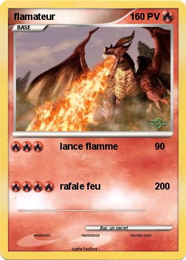 Pokemon flamateur