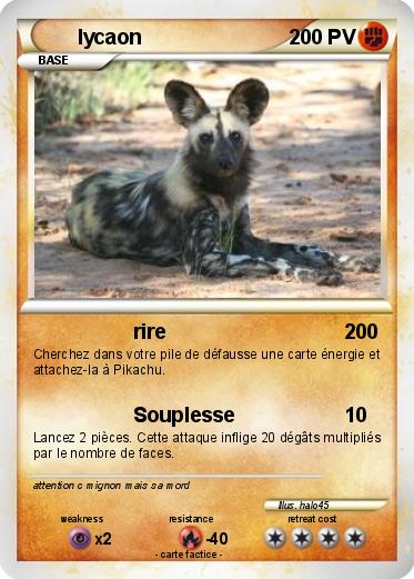 Pokemon lycaon