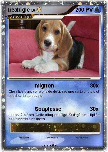 Pokemon beabigle