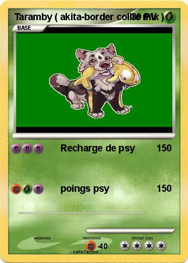 Pokemon Taramby ( akita-border collie mix )