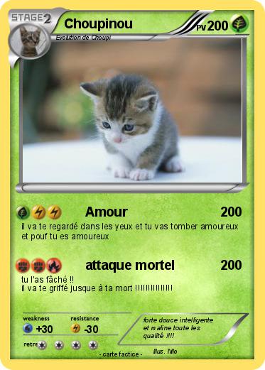 Pokemon Choupinou